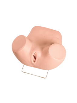 ADVANCED GYNECOLOGICAL TRAINING SIMULATOR 